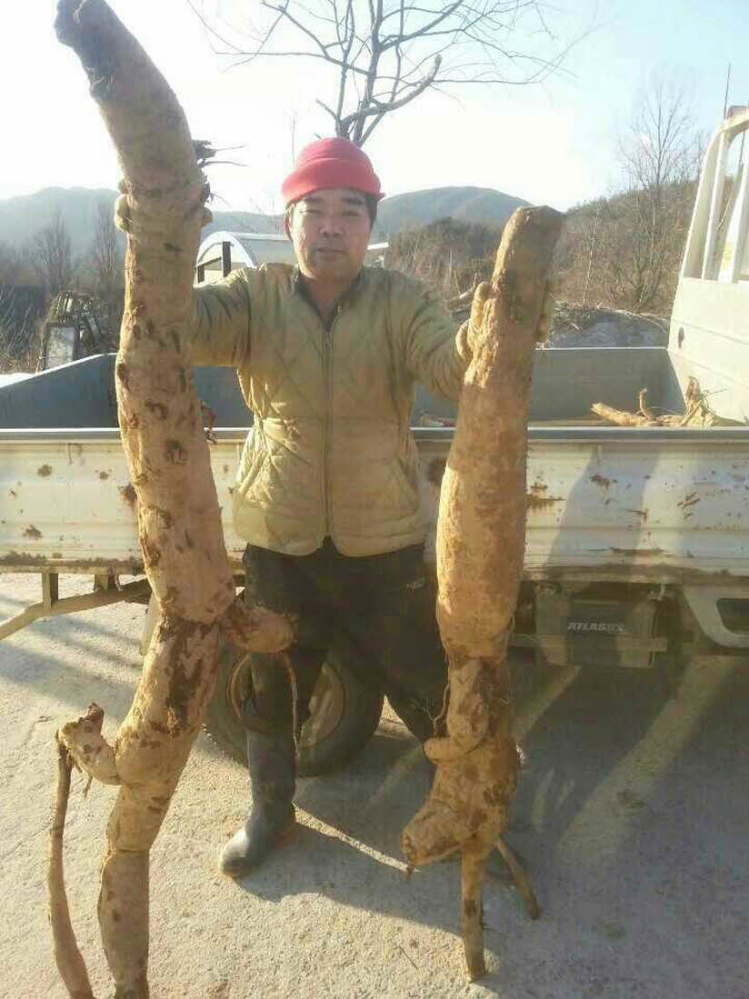 꾸미기_산청바랑산칡즙1.jpg