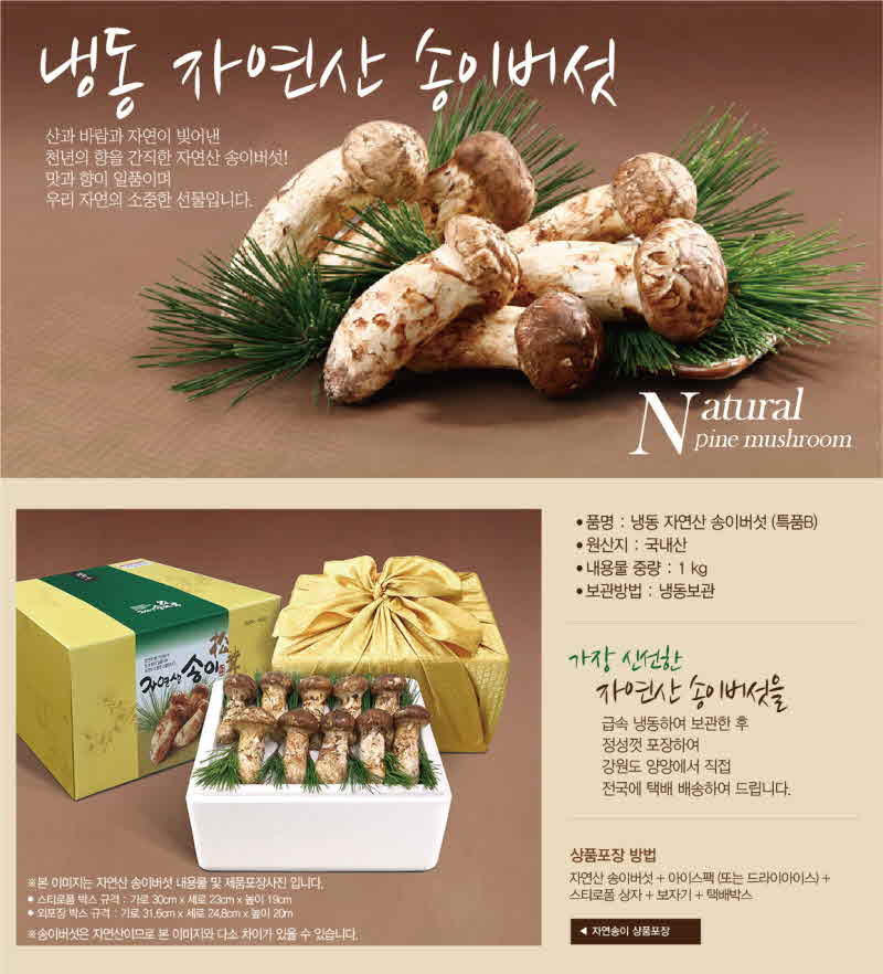 꾸미기_1i-songi04.jpg
