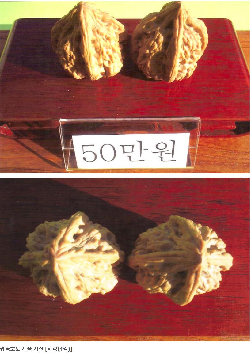 사각50.JPG