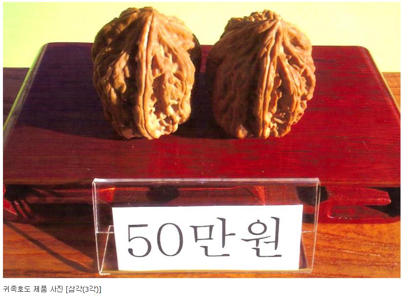 삼각50.JPG