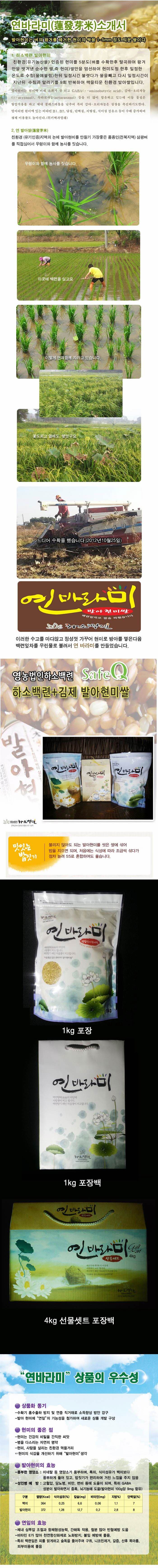 연바라미1.JPG